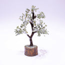 bonsai tree of life