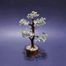 bonsai tree of life