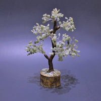 bonsai tree of life